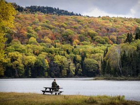 Spectacular fall foliage requires a confluence of factors: a warm, wet spring, fine summer weather and warm and sunny fall days with cool, but above-freezing, nights