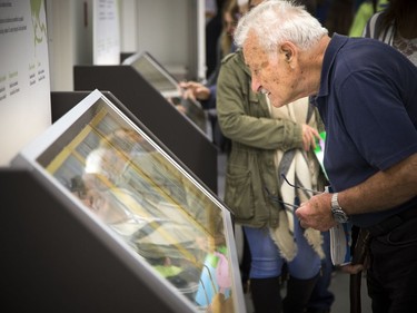 Vincent Caloia takes a close look at the various types of beetles on display  at the Canadian Museum of Nature open house held on Saturday, October 14, 2017