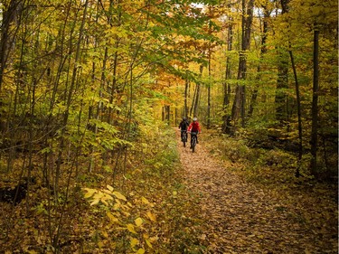 Selected roads in the Gatineau Park closed for the season Sunday October 22, 2017. The warm weather and the last day cars can access certain points brought long lines of traffic and lots of people out enjoying the trails through the woods. The annual winter closure allows the parkways to become cross-country ski trails during the fast-approaching winter months. The roads will reopen for cars at noon, May 4, 2018.  Ashley Fraser/Postmedia