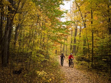 Selected roads in the Gatineau Park closed for the season Sunday October 22, 2017. The warm weather and the last day cars can access certain points brought long lines of traffic and lots of people out enjoying the trails through the woods. The annual winter closure allows the parkways to become cross-country ski trails during the fast-approaching winter months. The roads will reopen for cars at noon, May 4, 2018.  Ashley Fraser/Postmedia