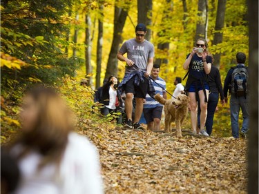 Selected roads in the Gatineau Park closed for the season Sunday October 22, 2017. The warm weather and the last day cars can access certain points brought long lines of traffic and lots of people out enjoying the trails through the woods. The annual winter closure allows the parkways to become cross-country ski trails during the fast-approaching winter months. The roads will reopen for cars at noon, May 4, 2018.  Ashley Fraser/Postmedia