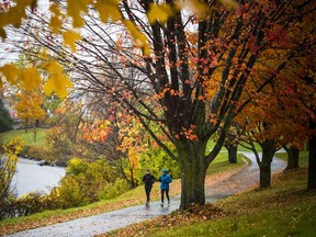 Don't let the overcast skies and occasional showers get you down.