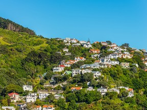 Colorful houses in Wellington, New Zealand.