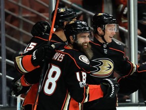 Patrick Eaves (18) celebrates a goal with Ducks teammates in a game against the New York Islanders on Oct. 11.  Sean M. Haffey/Getty Images