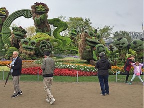 Crowds were out in Gatineau's Jacques Cartier Park on Saturday to take in the last weekend for MosaïCanada150, a one-kilometre path that winds through forty different horticulture arrangements. After this weekend, the dismantling will begin.