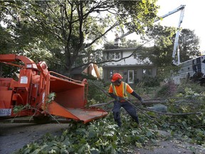 Christian's Tree Service cleans up a tree which fell on a house in Ottawa on Sept 28.