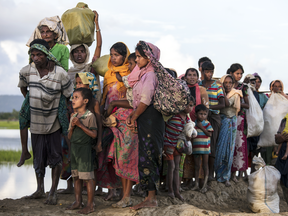 Rohingya refugees fleeing from Myanmar walk along a muddy rice field after crossing into Bangladesh.