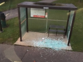 OC Transpo security is investigating after at least 6 bus shelters were vandalized on Lorry Greenberg Drive Tuesday night.