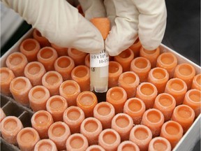 A researcher pulls a frozen vial of human embryonic stem cells.