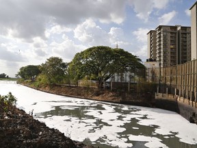 FILE - In this June 5, 2017, file photo, toxic froth from industrial pollution floats on Bellundur Lake on World Environment Day, in Bangalore, India. Environmental pollution - from filthy air to contaminated water - is killing more people every year than all war and violence in the world. (AP Photo/Aijaz Rahi, File)