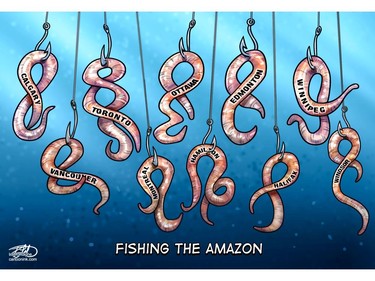 Luring Amazon