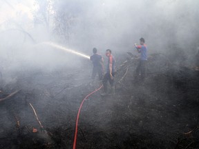 FILE - In this Sept. 16, 2014, file photo, firemen spray water in an attempt to extinguish bush fires on a peat land in Siak Riau province, Indonesia. A new NASA satellite finds another thing to blame on El Nino: A recent record high increase of carbon dioxide in the air. The satellite details how the super-sized El Nino a couple years ago added 2.5 billion tons of carbon into the air, making the natural phenomenon the main factor in the biggest jump in heat-trapping gas levels in modern record, NASA scientists said. (AP Photo/Rony Muharrman, File)