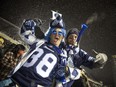 Toronto fans were clearly excited as their team won the 2017 Grey Cup at TD Place Sunday. Ashley Fraser/Postmedia