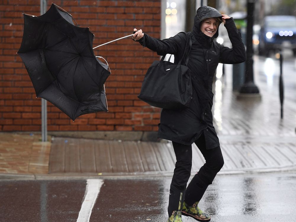 Wind warning issued for Ottawa area | Ottawa Citizen