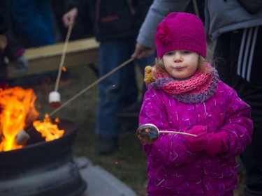 Three-year-old Charlotte Nasser roasts a marshmallow at the Mayor's 17th Annual Christmas Celebration.  Ashley Fraser/Postmedia