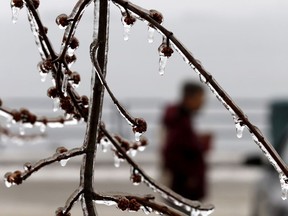Some freezing drizzle may hit Ottawa on Monday but temperatures will remain above normal.