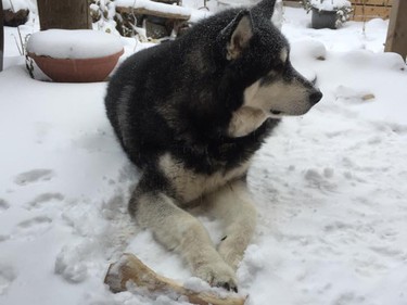 Ronin sits in the snow, wondering why he didn't invest in Bitcoin.