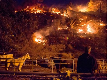 A man watches as the Creek Fire burns behind a hillside near houses in the Shadow Hills neighborhood of Los Angeles, California, on December 5, 2017. More than a thousand firefighters were struggling to contain a wind-whipped brush fire in southern California on December 5 that has left at least one person dead, sent thousands fleeing, and was choking the area with thick black smoke.