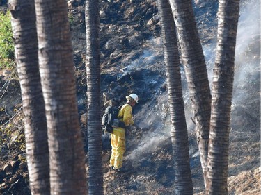 A firefighter puts out burning embers on a hillside near homes in Bel Air on December 6, 2017 in Los Angeles, California. California motorists commuted past a blazing inferno as wind-whipped wildfires raged across the Los Angeles region, with flames  triggering the closure of a major freeway and mandatory evacuations in an area dotted with mansions.