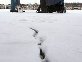 File photo: This crack was thought to be linked to a suspected frost quake in Calgary in 2014. On the day this crack was found, a loud boom was heard in the northern part of the city.