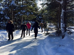 A glimpse at the forest skateway in Lac-des-Loups.