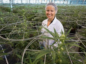 Agnes Kwasniewska, Master Grower, in the main greenhouse during a tour of Hydropothecary, a medical marijuana plant in Masson-Angers, Quebec.  Photo Wayne Cuddington/ Postmedia
