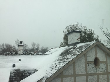 Snowy rooftops of Sandy Hill.