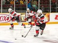 The 67's Mitchell Hoelscher (17) leads teammates Sam Bitten (13) and Peter Stratis up the ice during the first period of Saturday's game against the Colts. Valerie Wutti/Blitzen Photography/Ottawa 67's