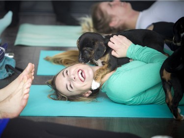 Ottawa's first puppy yoga class took place Saturday, Jan. 6, 2018 at Inner Soul Yoga and Cycle, a fundraiser for Ottawa Dog Rescue. The puppies were big Erika Polidori fans and had a hard time staying away from her during the fun-hearted yoga class.