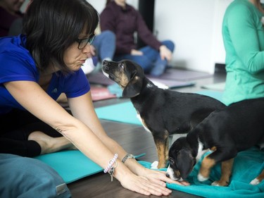 Cindy Wynter was nose to nose during the extra special class.