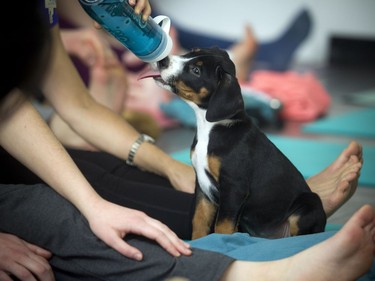 Yoga is tough work and sometimes you just need a little drink.