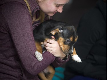 Ottawa's first puppy yoga class took place at Inner Soul Yoga and Cycle.
