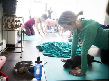 The puppies were big Erika Polidori fans and had a hard time staying away from her during the fun-hearted yoga class.