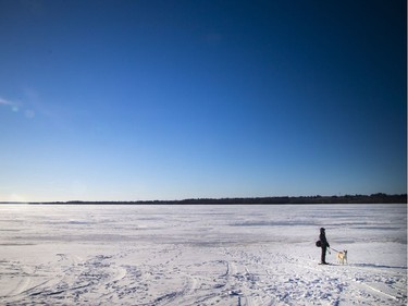 A snowshoer and dog make their way along the edge of the Ottawa River at Westboro beach.
