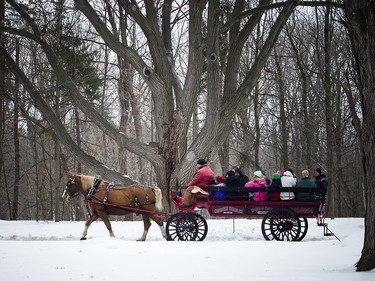 Horse-drawn wagon rides were part of the Winter Celebration fun.