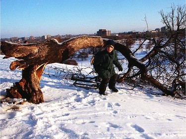 Jan 10, 1998--Arboritium--it only took a few hours of sunshine after this past weeks ice storm to get people outside enjoying the challenge of winter sports--Michael Hinton age 10 of Ottawa pulls his sled under a knocked over tree.