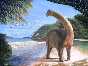 An artist's reconstruction of the titanosaurian dinosaur Mansourasaurus shahinae, on a coastline in what is now the western desert of Egypt approximately 80 million years ago.