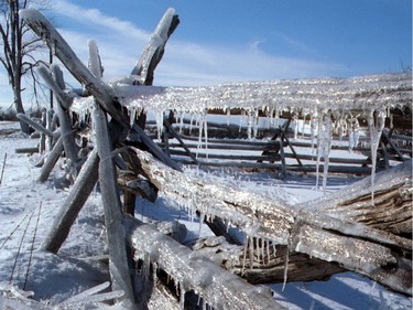 Ottawa ice storm 1998