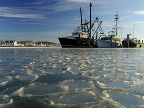 In this Jan. 7, 2018, file photo, fishing trawlers sit on the frozen harbour of Lake Montauk surrounded by thin sheets of ice in Montauk, N.Y.