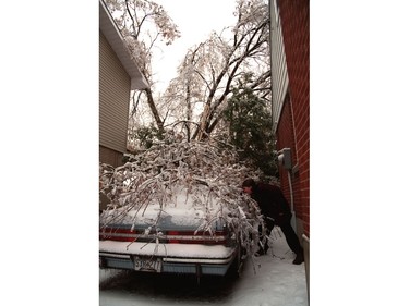 Ottawa 1998 Ice Storm - Fallen trees sits on a car covered in ice.