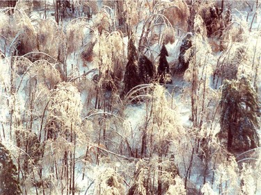Ottawa 1998 Ice Storm