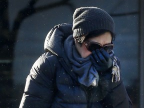 A lady looks frozen while walking on Elgin Street in Ottawa Friday Jan 5, 2018. Tony Caldwell