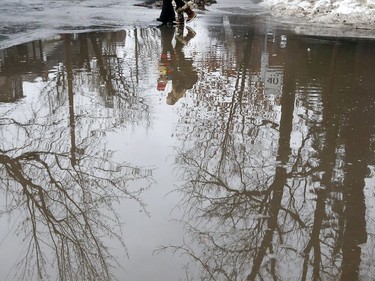 Kids walk near a giant puddle on Hollywood Ave. in Ottawa Friday Jan 12, 2018.