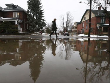 A woman walks near a giant puddle on Hollywood Ave. in Ottawa Friday Jan 12, 2018.