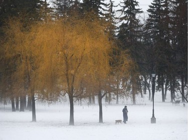 A woman walks her dog in the wet weather in Ottawa Friday Jan 12, 2018.