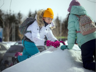 14-year-old Justina Miao tries to get a chunk of snow out of a snowbank to use to build a snowman.  The Crackup Snowmania Challenge took place Saturday Feb 17, 2018 at Lansdowne Park.