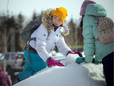 14-year-old Justina Miao tries to get a chunk of snow out of a snowbank to use to build a snowman.   The Crackup Snowmania Challenge took place Saturday Feb 17, 2018 at Lansdowne Park.