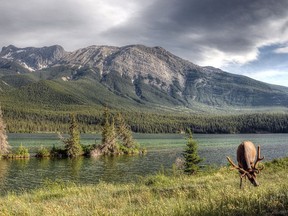 Jasper National Park