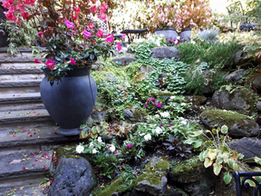 A garden at a home on Balmoral Avenue in Toronto where police in the Bruce McArthur investigation say they found human remains.