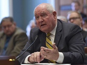 Agriculture Secretary Sonny Perdue speaks on Capitol Hill in Washington, Tuesday, Feb. 6, 2018, during a hearing on the rural economy.